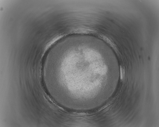 X0000080690675200612301450