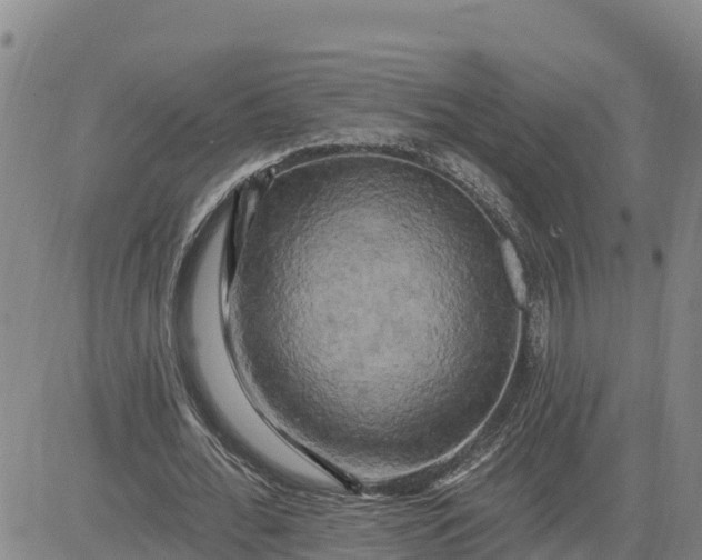 X0000080690676200612301450