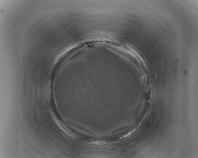 X0000080690677200612301450