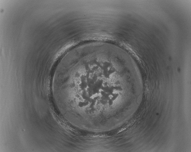 X0000080690679200612301450