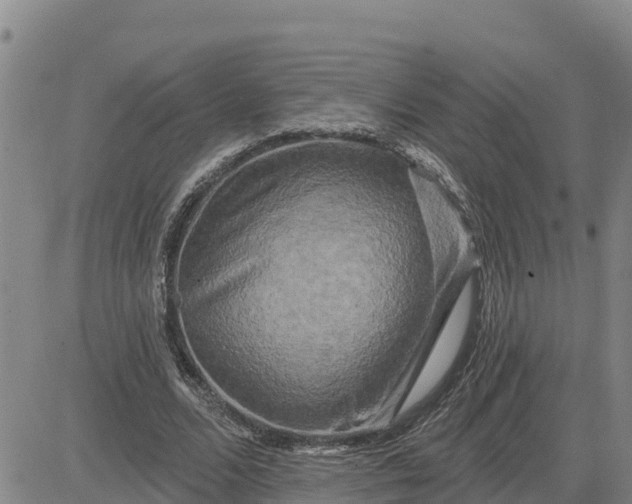 X0000080690680200612301450