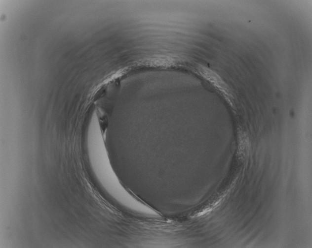 X0000080690681200612301450