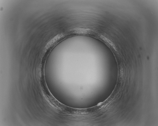 X0000080690682200612301450