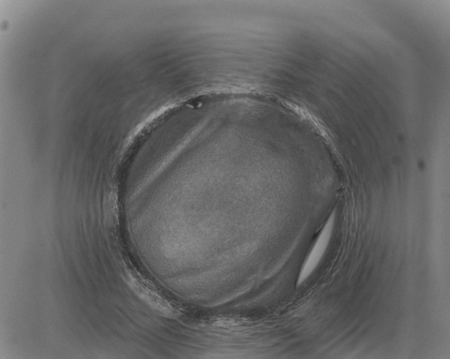 X0000080690684200612301450