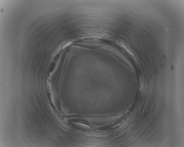 X0000080690685200612301450