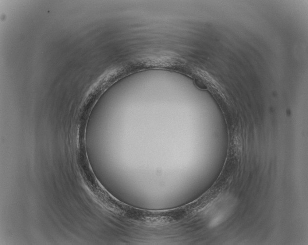 X0000080690686200612301450