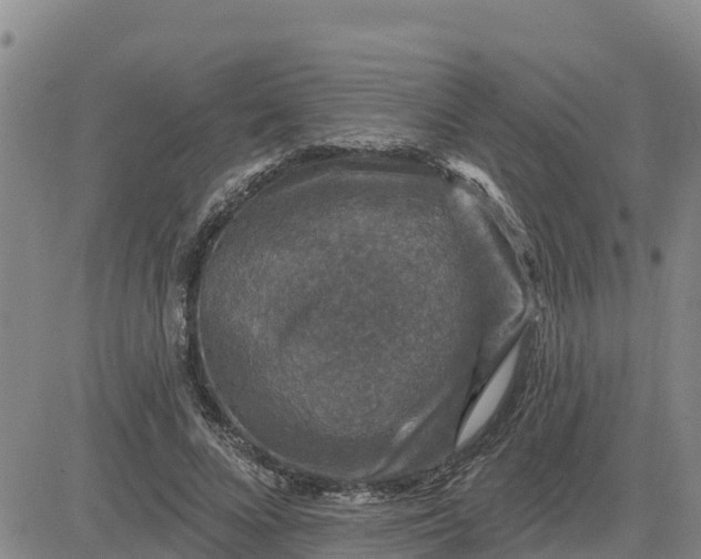 X0000080690688200612301450