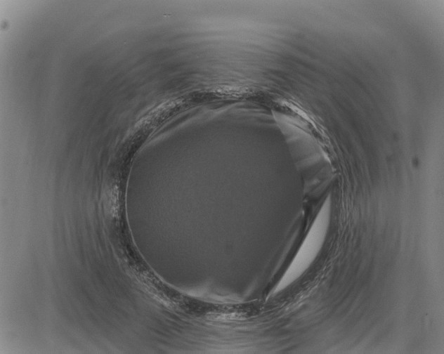 X0000080690689200612301450