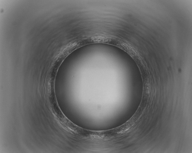 X0000080690690200612301450