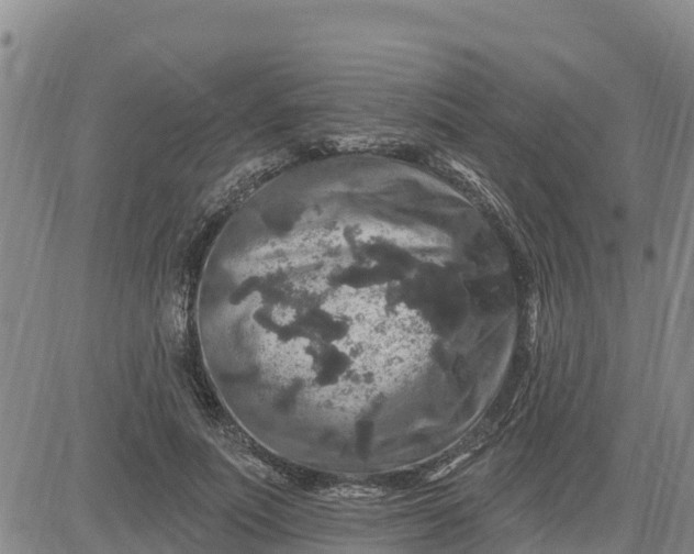 X0000080690691200612301450