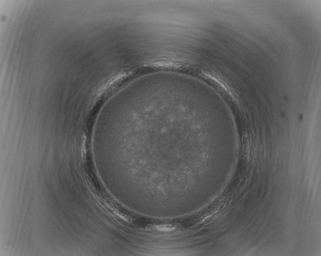 X0000080690692200612301450