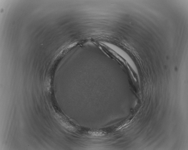 X0000080690693200612301450