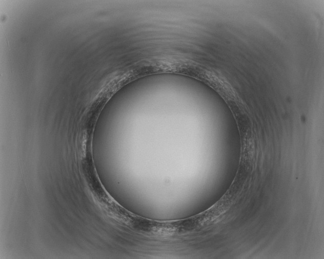 X0000080690694200612301450