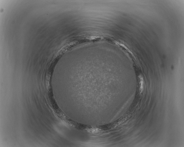 X0000080690695200612301450