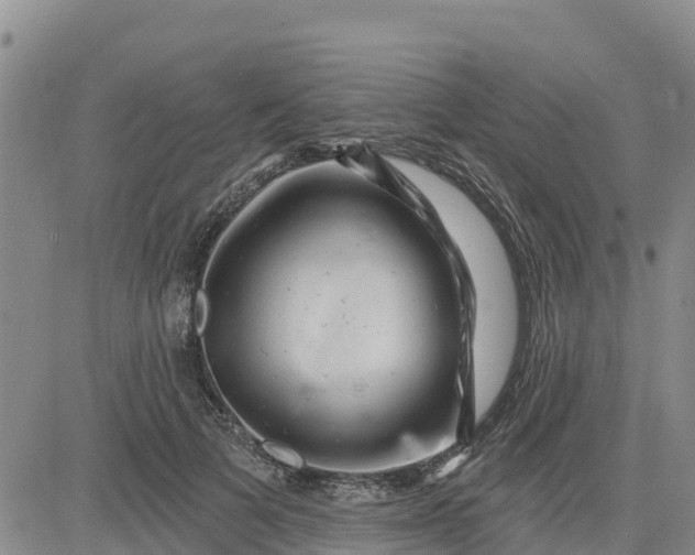 X0000080690697200612301450