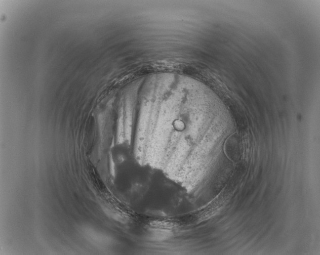 X0000080690699200612301450