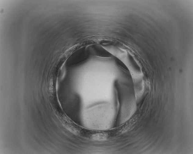 X0000080690700200612301450