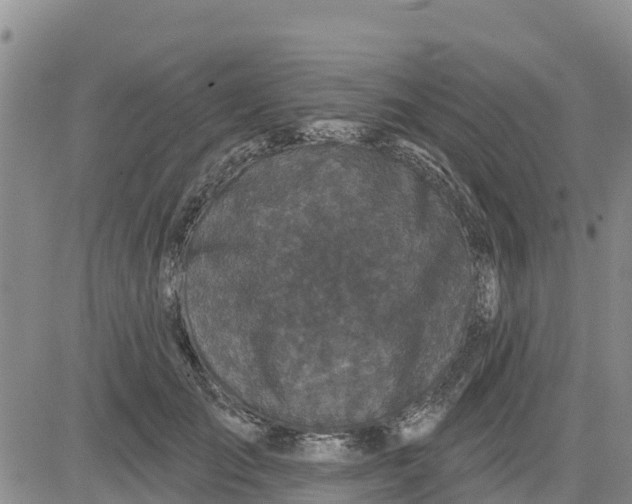 X0000080690701200612301450