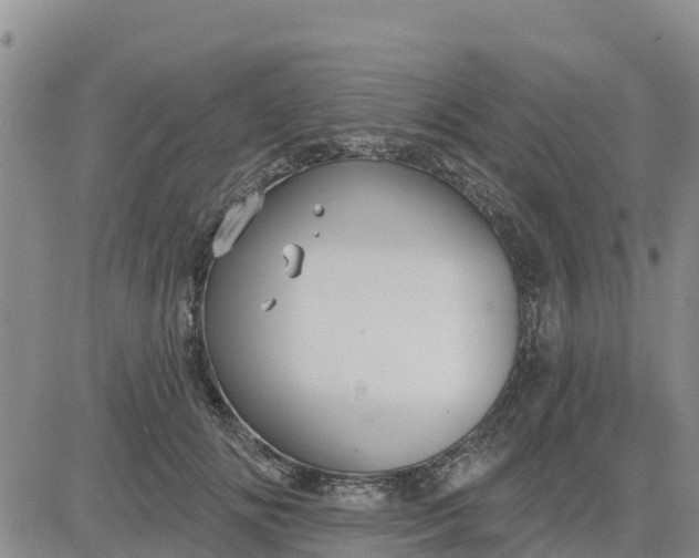 X0000080690702200612301450