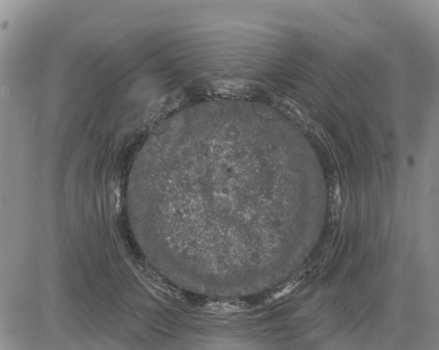 X0000080690703200612301450