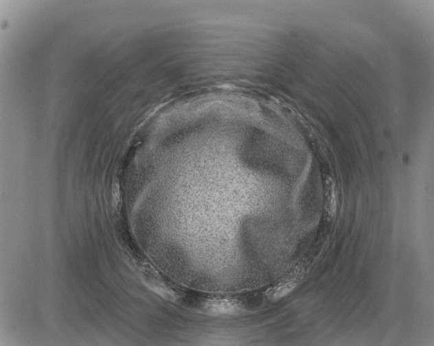 X0000080690704200612301450