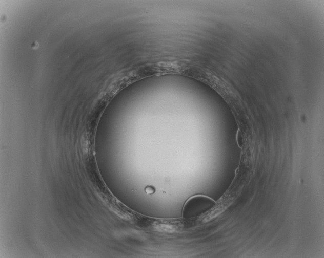 X0000080690706200612301449