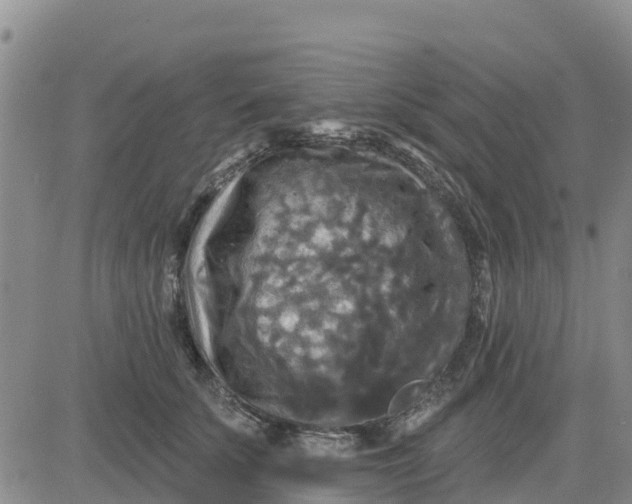 X0000080690707200612301449