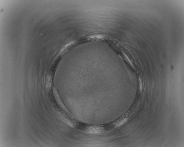 X0000080690708200612301449