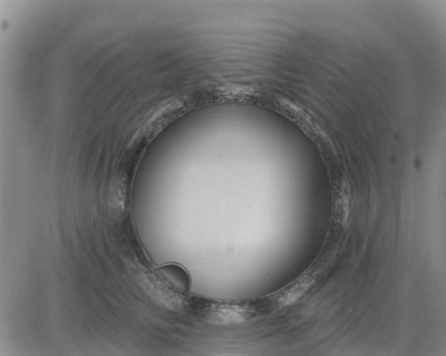 X0000080690710200612301449