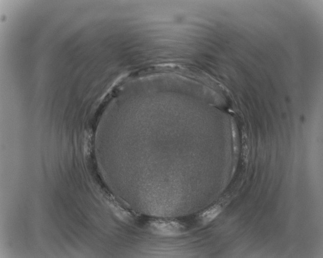 X0000080690712200612301449