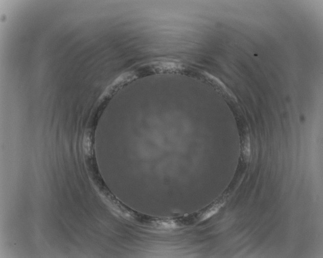 X0000080690715200612301449