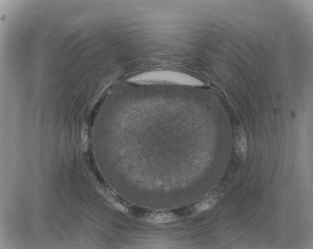 X0000080690716200612301449