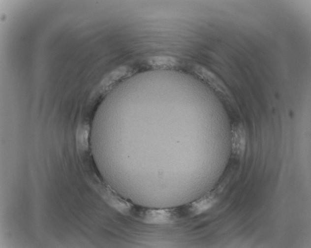 X0000080690717200612301449