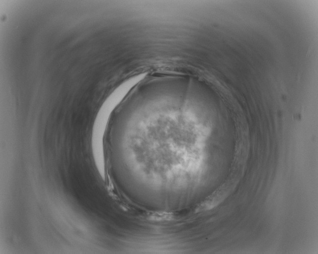 X0000080690720200612301449