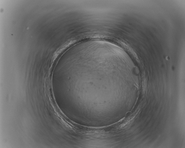 X0000080690721200612301448