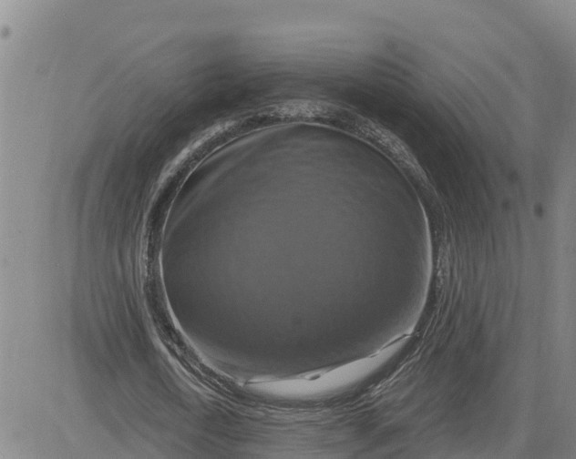 X0000080690722200612301448