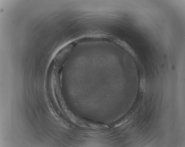 X0000080690724200612301449