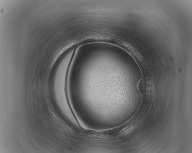 X0000080690727200612301449