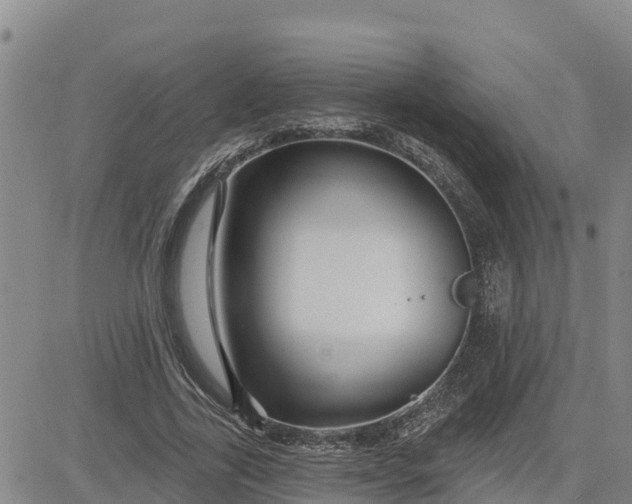 X0000080690731200612301449