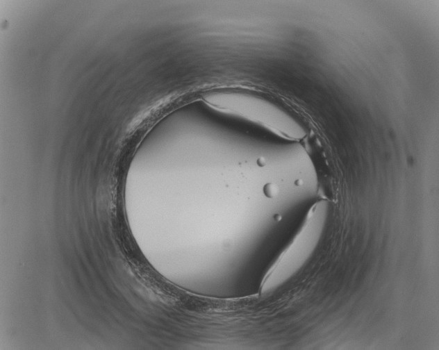 X0000080690732200612301449