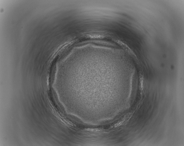 X0000080690733200612301449