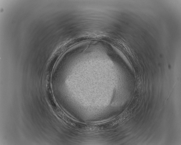 X0000080690736200612301449