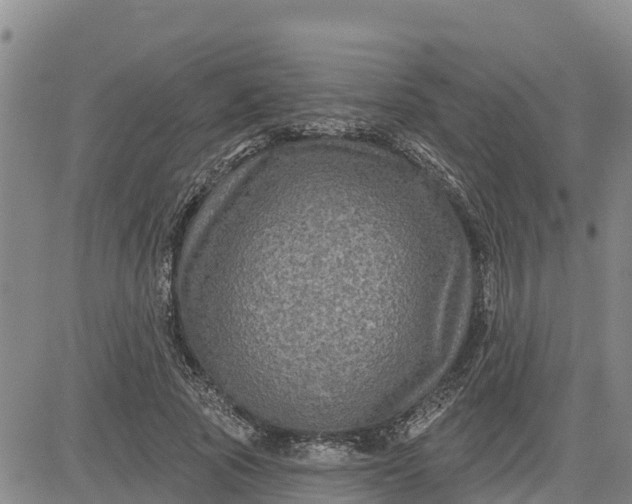 X0000080690737200612301449