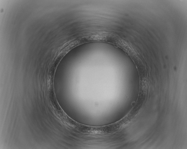 X0000080690741200612301449