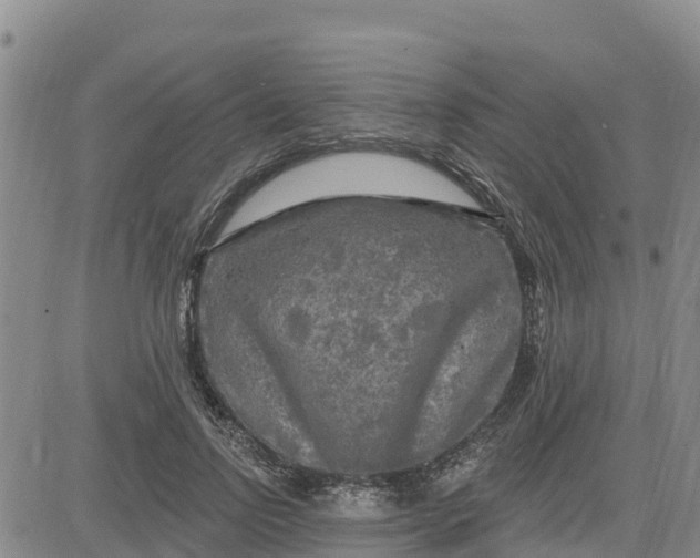 X0000080690742200612301449