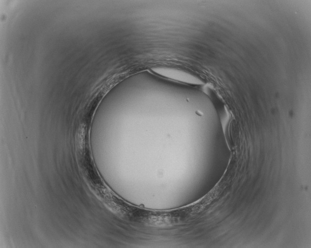 X0000080690744200612301449