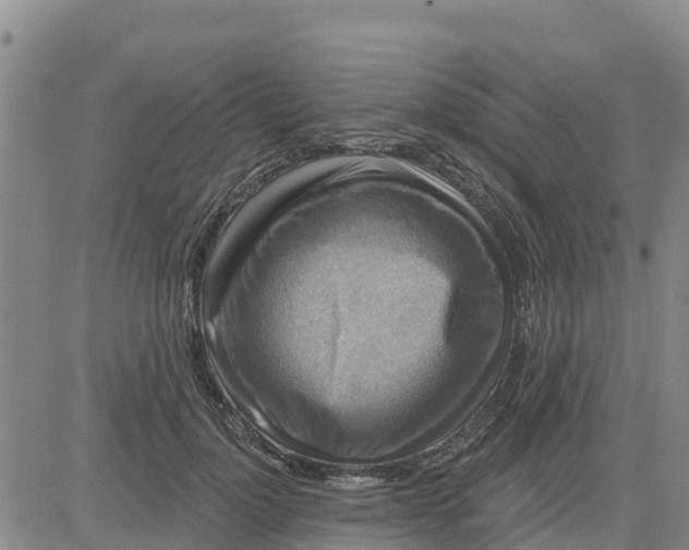 X0000080690748200612301449