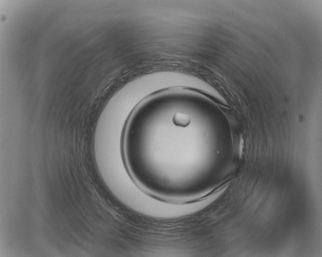 X0000080690750200612301449