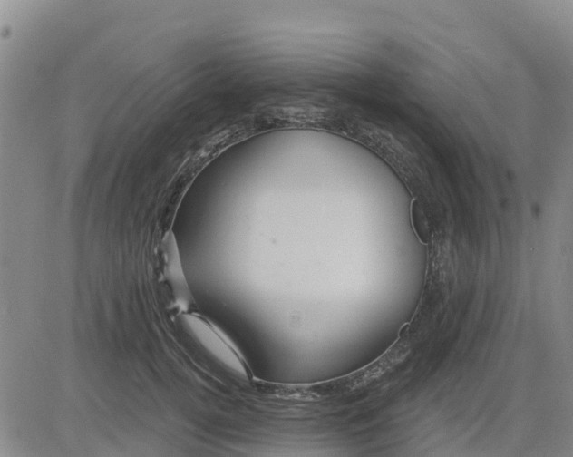 X0000080690752200612301449