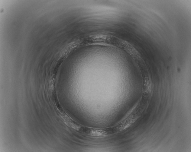 X0000080690753200612301449